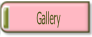 Gallery.
