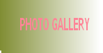 PHOTO GALLERY